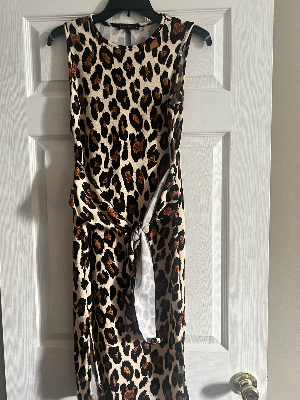 Sleeveless Leopard Print Tie-Waist Dress - Brown, Black & Cream